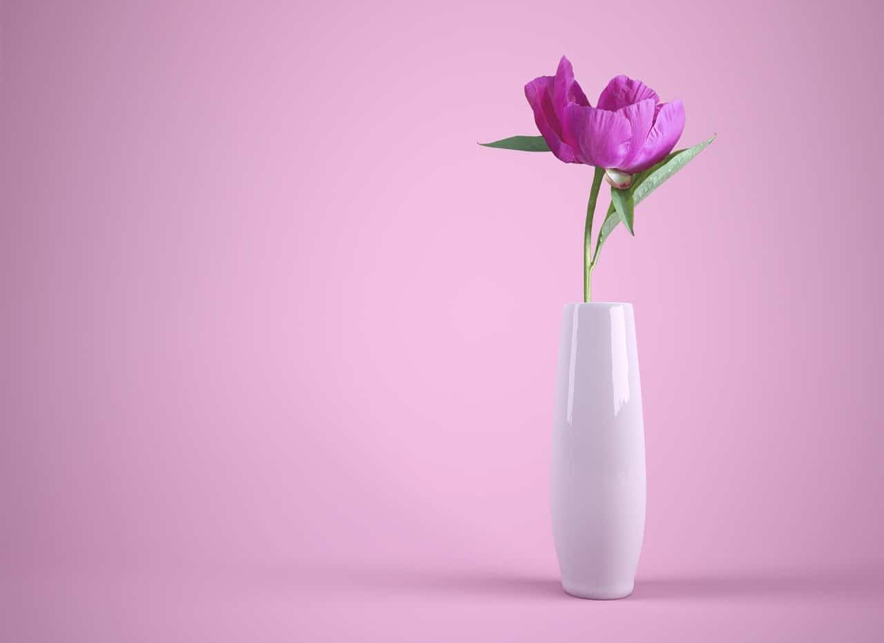 flower-3175428_1280 flower-3175428_1280