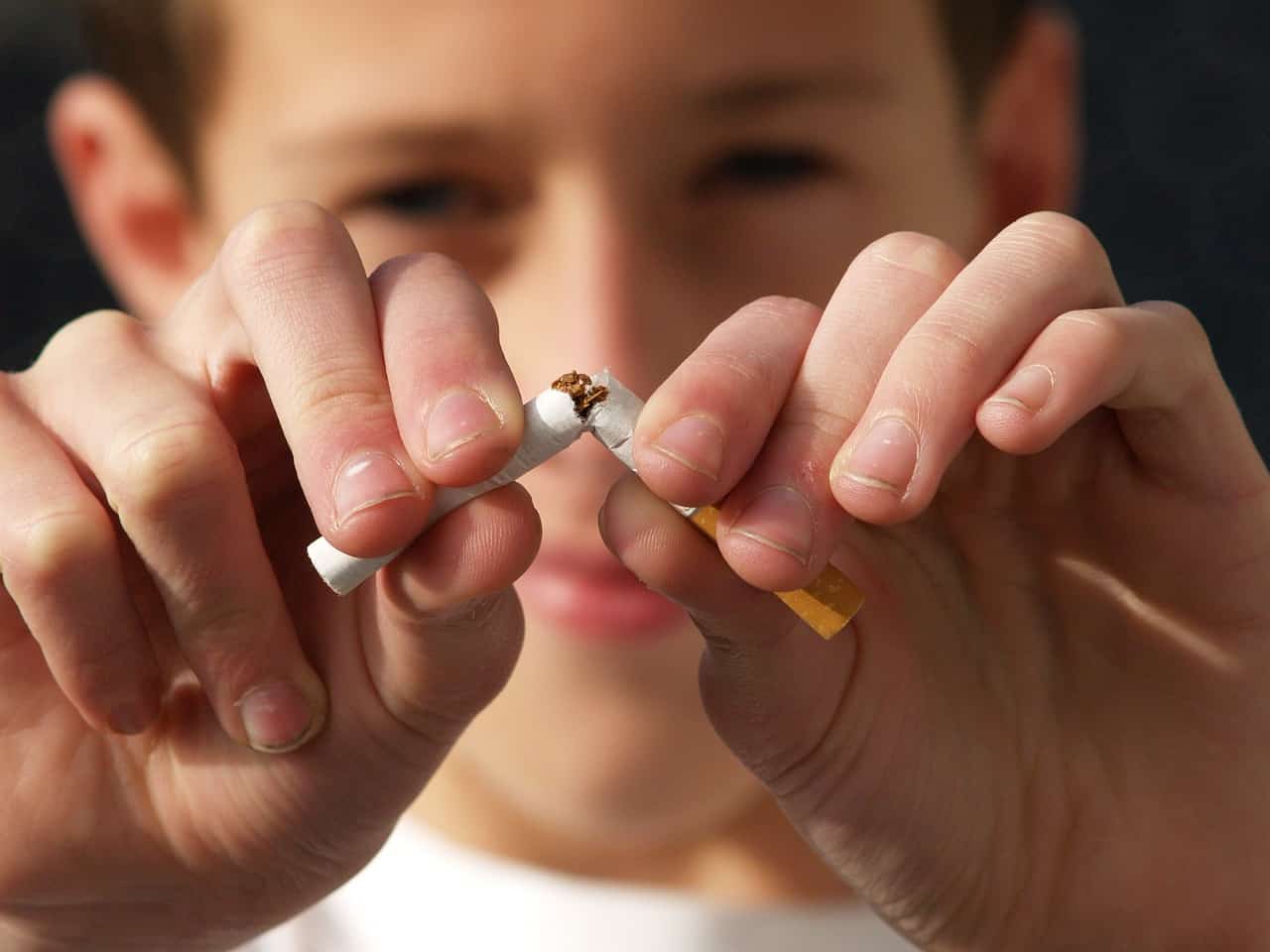 seance 1 tabac seance 1 tabac
